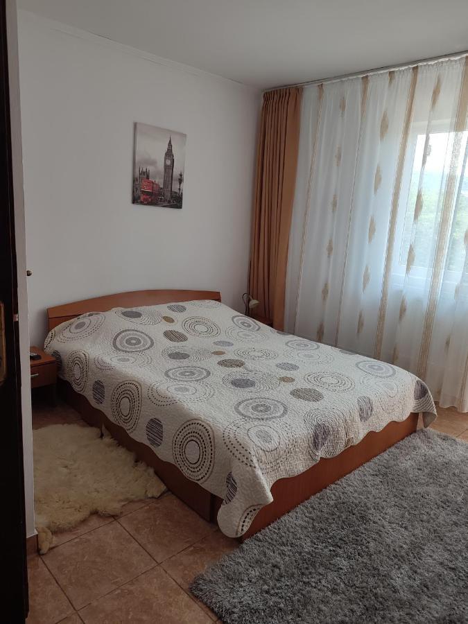 Hotel Casa Irilen Mînăstirea Humorului Exterior foto